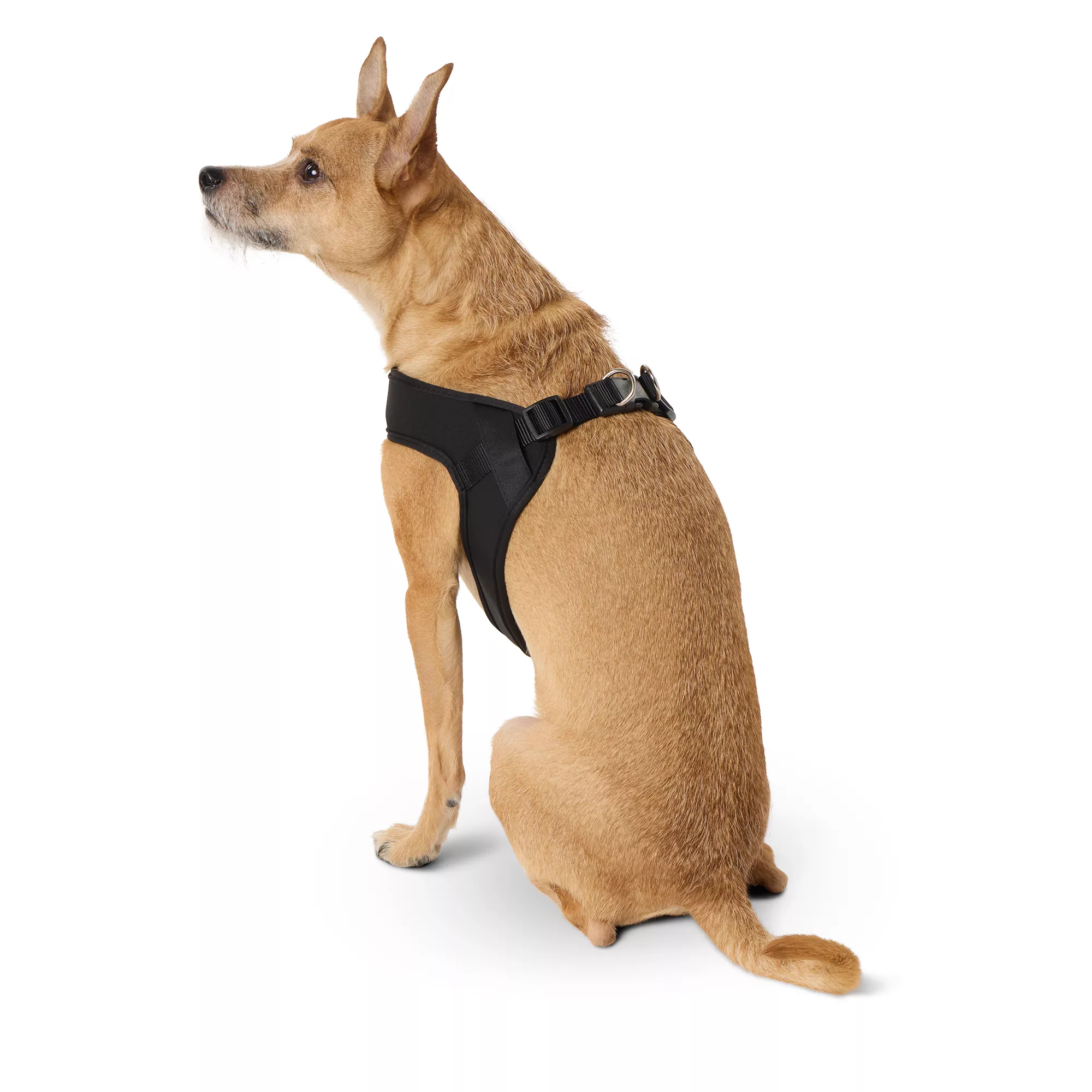 Top Paw® Black Comfort Slip-On Harness