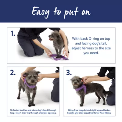 Top Paw® Comfort Slip-On Harness - Image 5