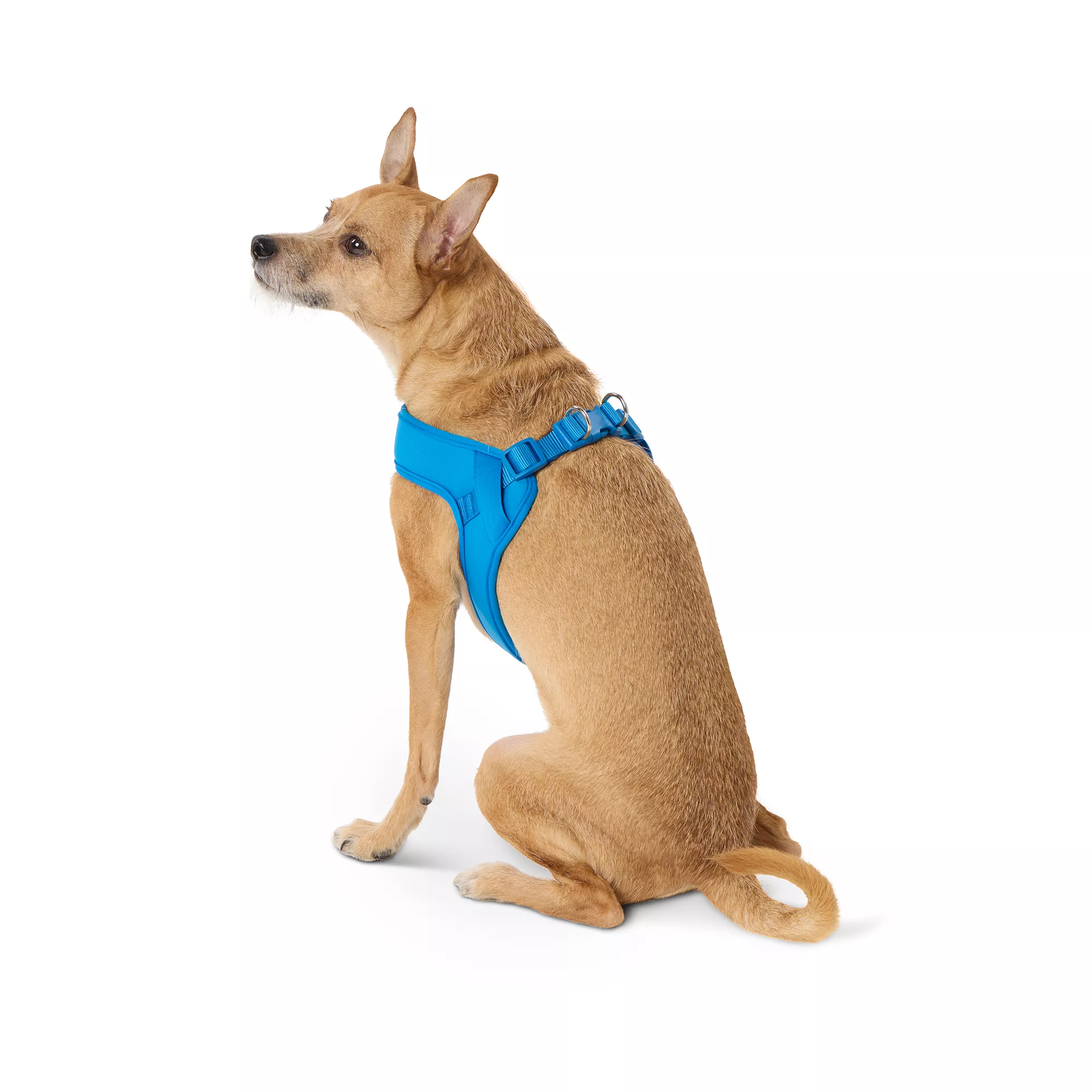 Top Paw® Blue Comfort Slip-On Harness