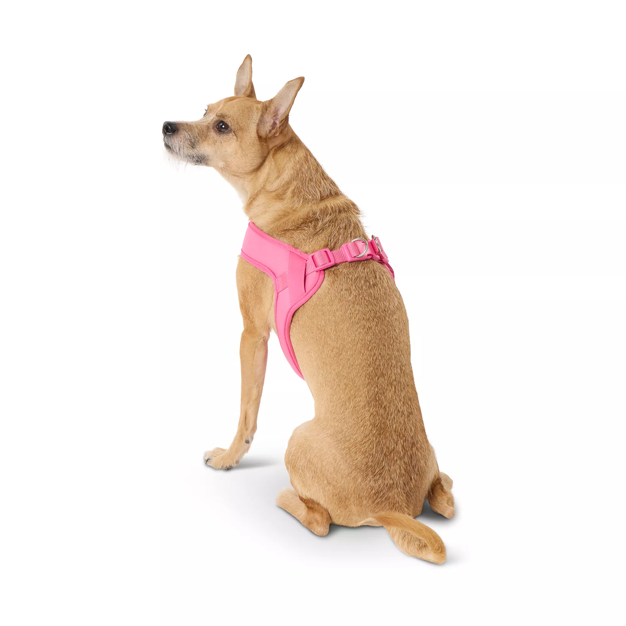 Top Paw® Raspberry Comfort Slip-On Harness