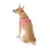 Top Paw® Comfort Slip-On Dog Harness, Comfortable Dog Harness, Adjustable, Neoprene, Multiple Sizes image thumbnail 1