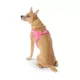 Product Top Paw® Comfort Slip-On Harness