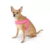 Top Paw® Comfort Slip-On Dog Harness, Comfortable Dog Harness, Adjustable, Neoprene, Multiple Sizes image thumbnail 2