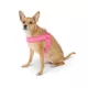 Product Top Paw® Comfort Slip-On Harness
