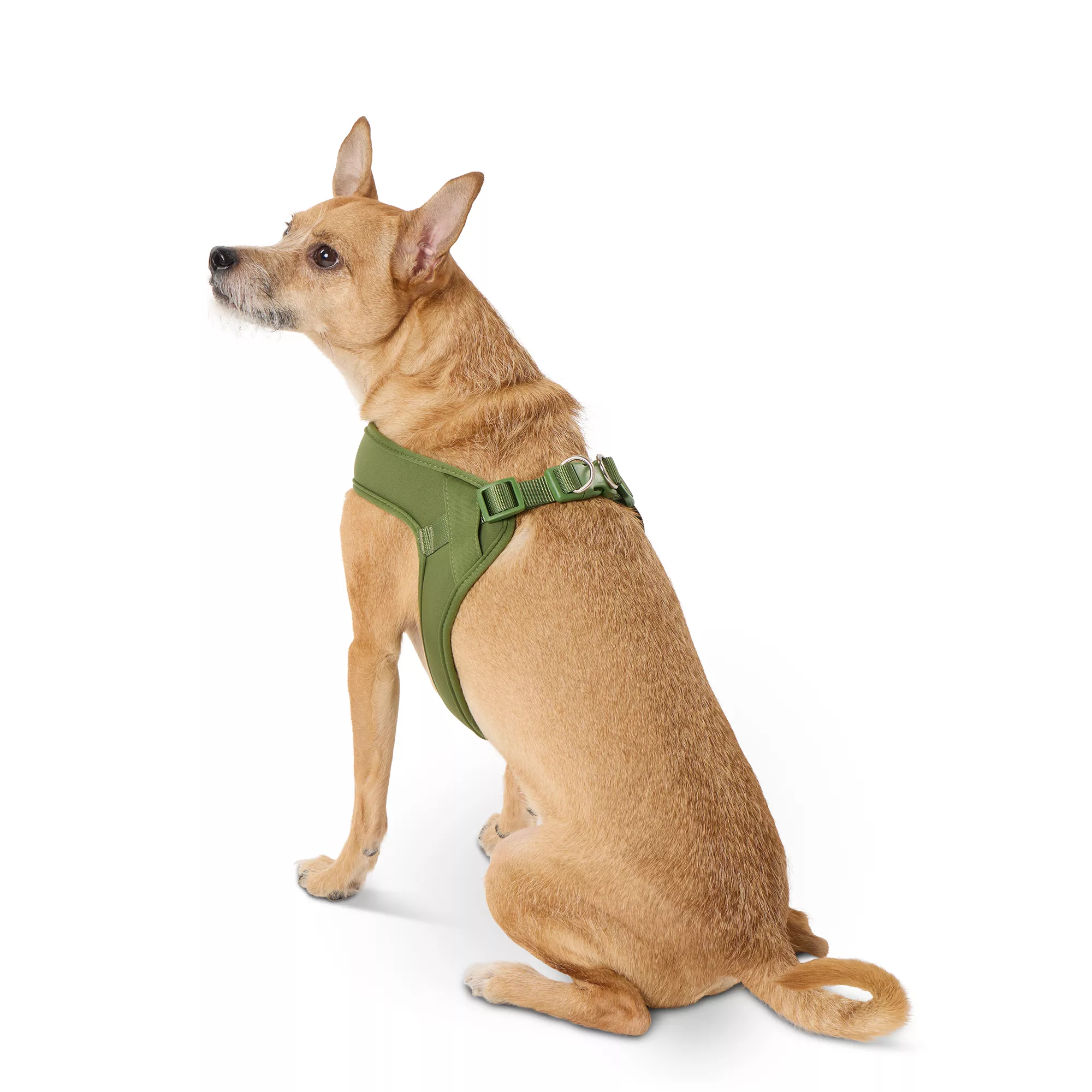 Top Paw® Comfort Slip-On Harness