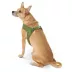 Top Paw® Comfort Slip-On Harness image thumbnail 1