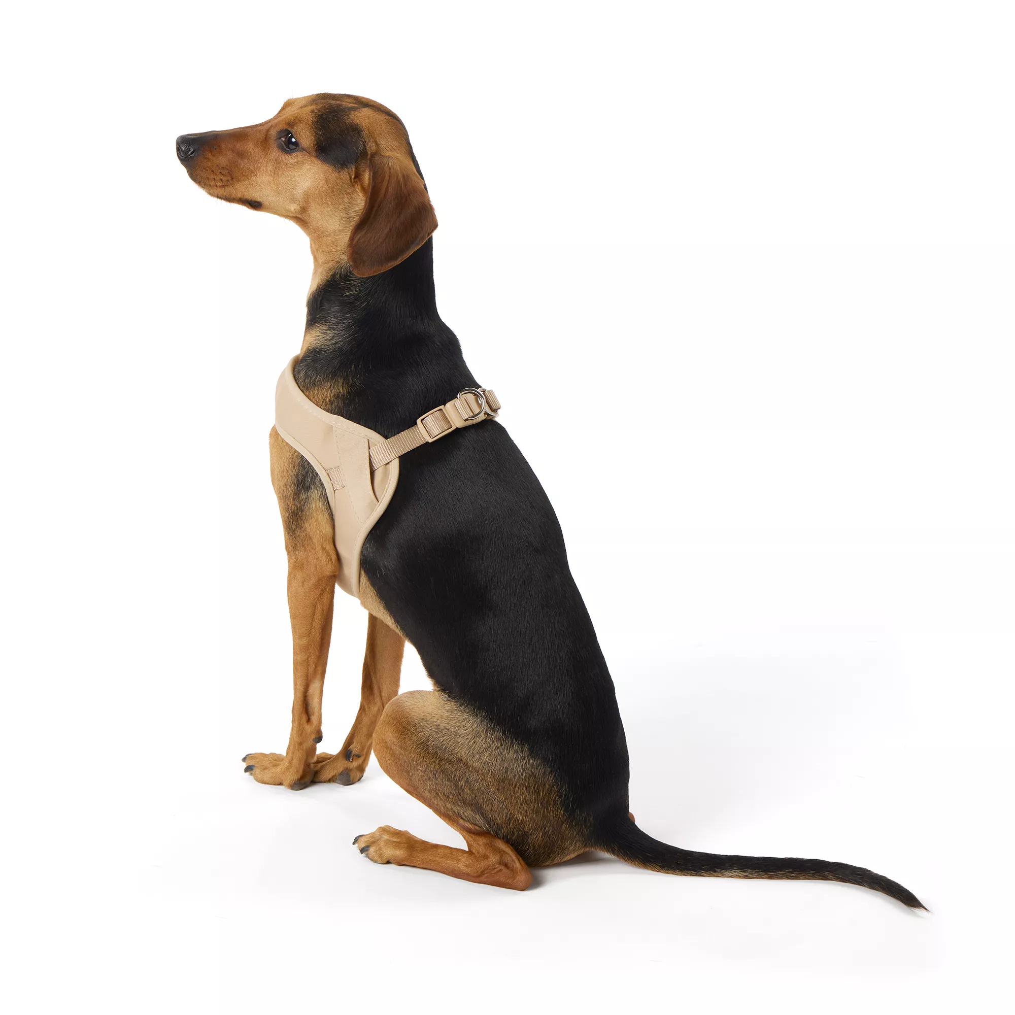 Top Paw® Tan Comfort Slip-On Harness