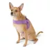 Top Paw® Comfort Slip-On Harness image thumbnail 2