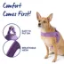 Top Paw® Comfort Slip-On Harness image thumbnail 4