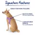 Top Paw® Comfort Slip-On Harness image thumbnail 7