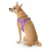 Top Paw® Comfort Slip-On Harness image thumbnail 1