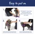 Top Paw® Comfort Slip-On Harness image thumbnail 5
