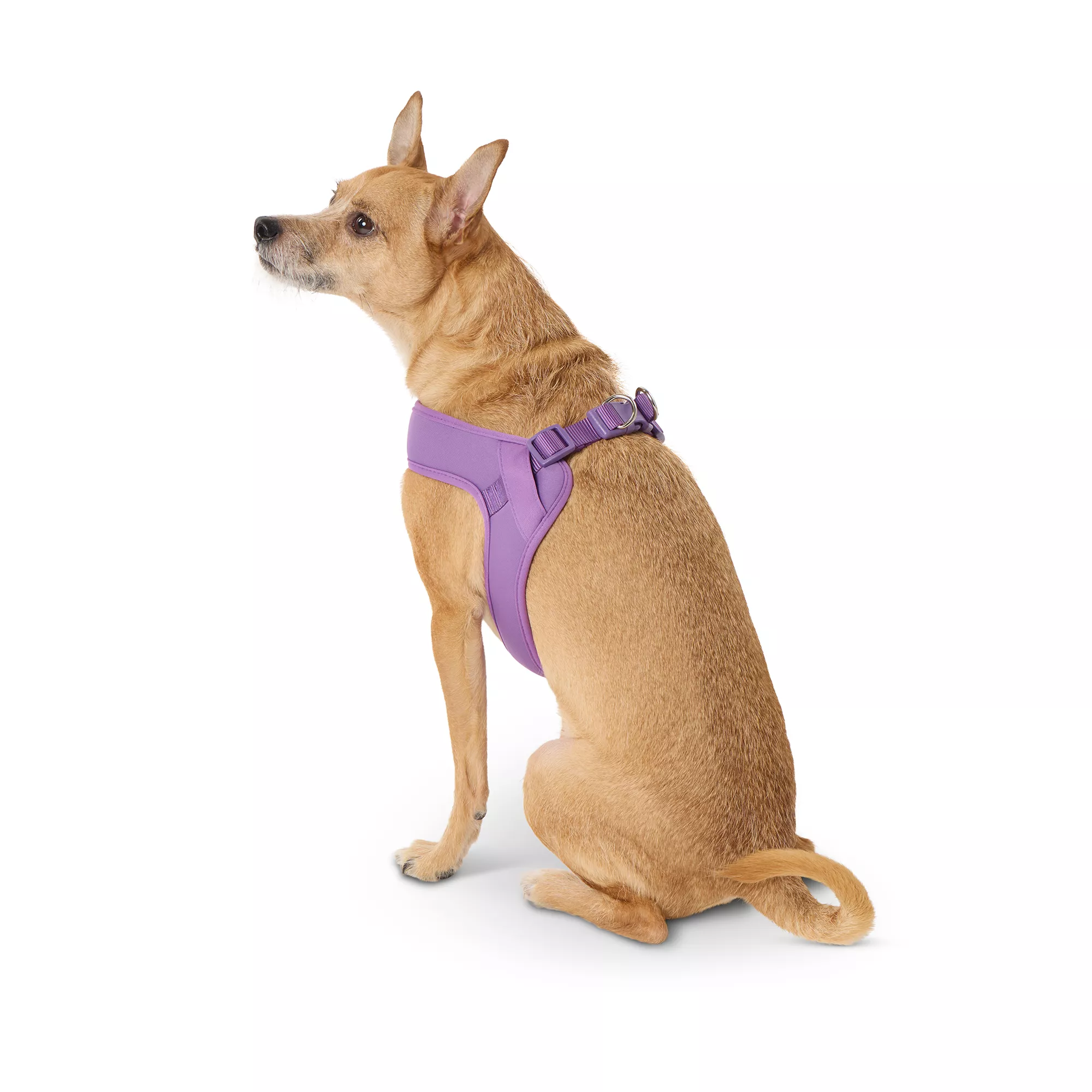  Top Paw® Purple Comfort Slip-On Harness