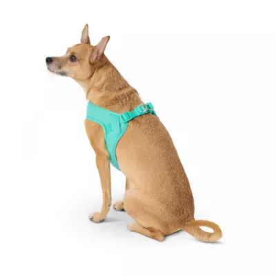 Product Top Paw® Teal Comfort Slip-On Harness