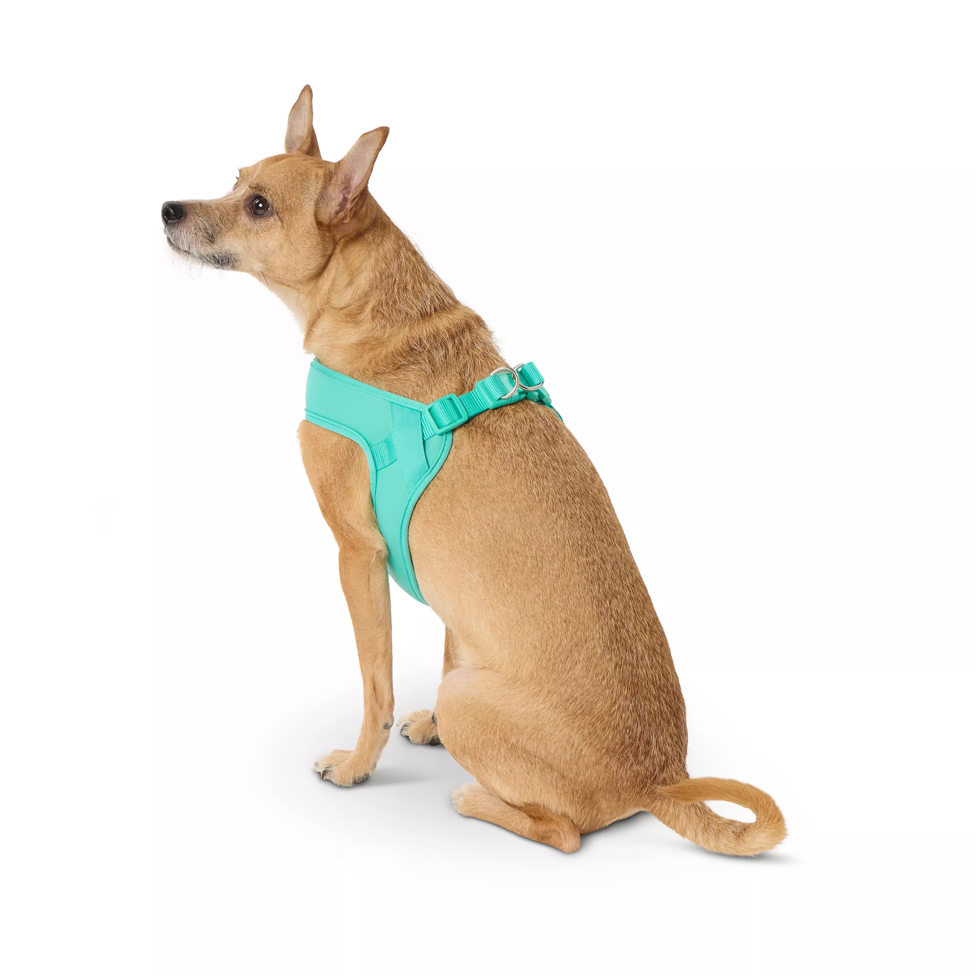 Top Paw® Teal Comfort Slip-On Harness