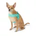 Top Paw® Comfort Slip-On Dog Harness, Comfortable Dog Harness, Adjustable, Neoprene, Multiple Sizes image thumbnail 2