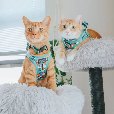 Product Sassy Meow Green Lion King Collar
