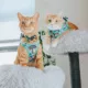 Product Sassy Meow Green Lion King Collar