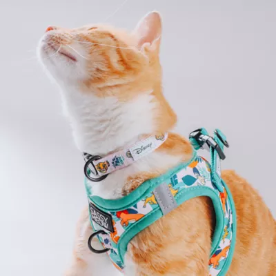 Product Sassy Meow White Lion King Cat Collar