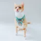 Product Sassy Meow Lion King Cat Harness