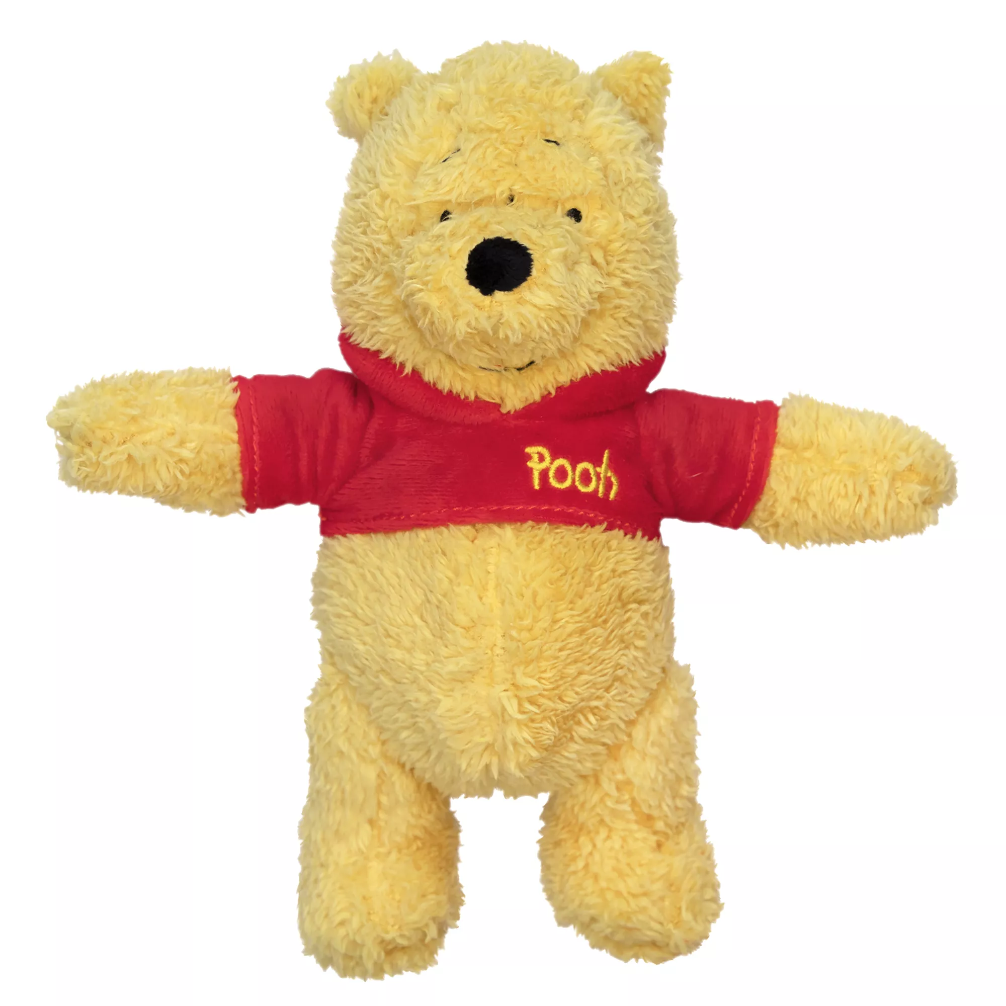 Winnie The Pooh Bear Plush Dog Toy