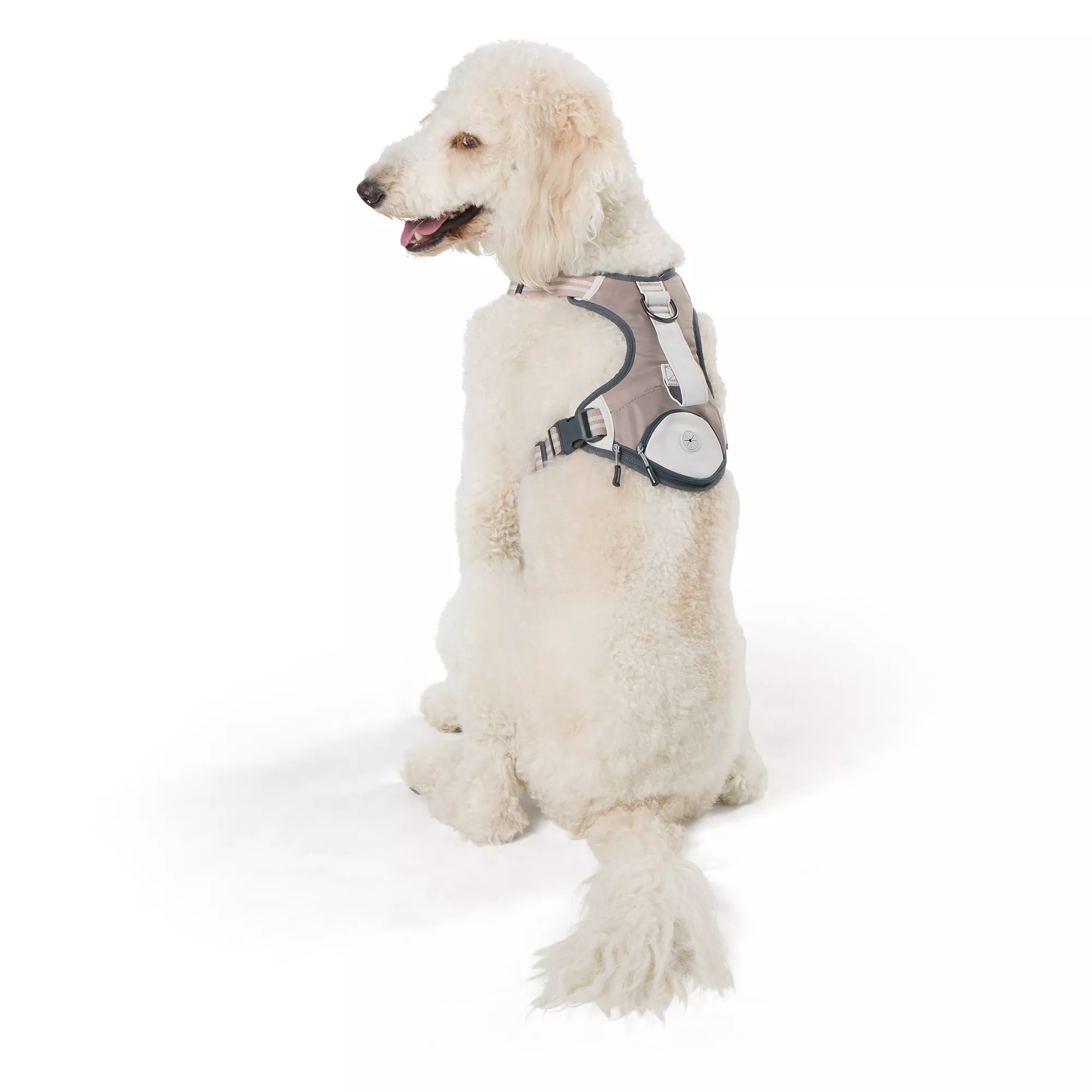 Top Paw® Tan Adjustable Pocket Dog Harness