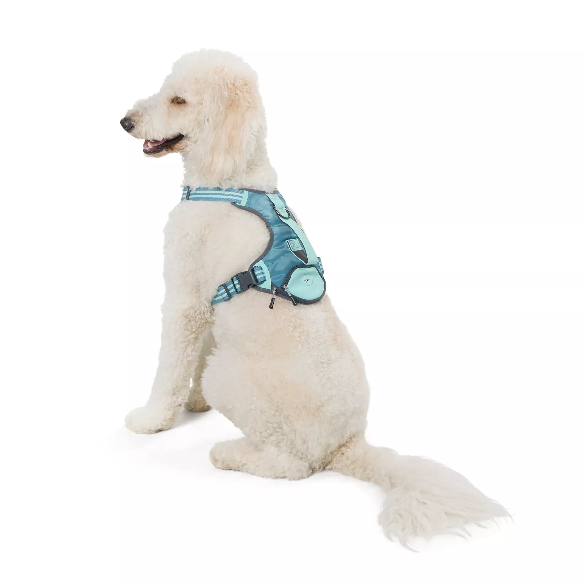 Top Paw® Teal Adjustable Pocket Dog Harness