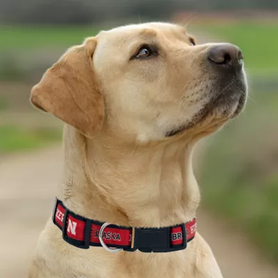 Pets First Nebraska Satin Collar - Image 2