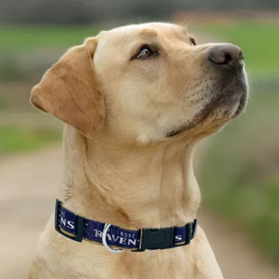 Pets First Baltimore Ravens Satin Dog Collar - Image 3
