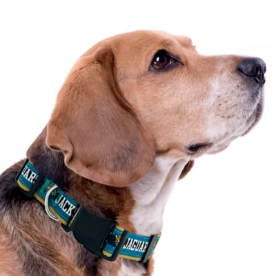 Pets First Jacksonville Jaguars Satin Collar - Image 3