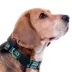 Pets First Jacksonville Jaguars Satin Collar image thumbnail 3