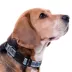 Pets First University of North Carolina Satin Collar image thumbnail 3