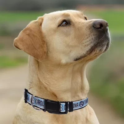 Pets First University of North Carolina Satin Collar - Image 4