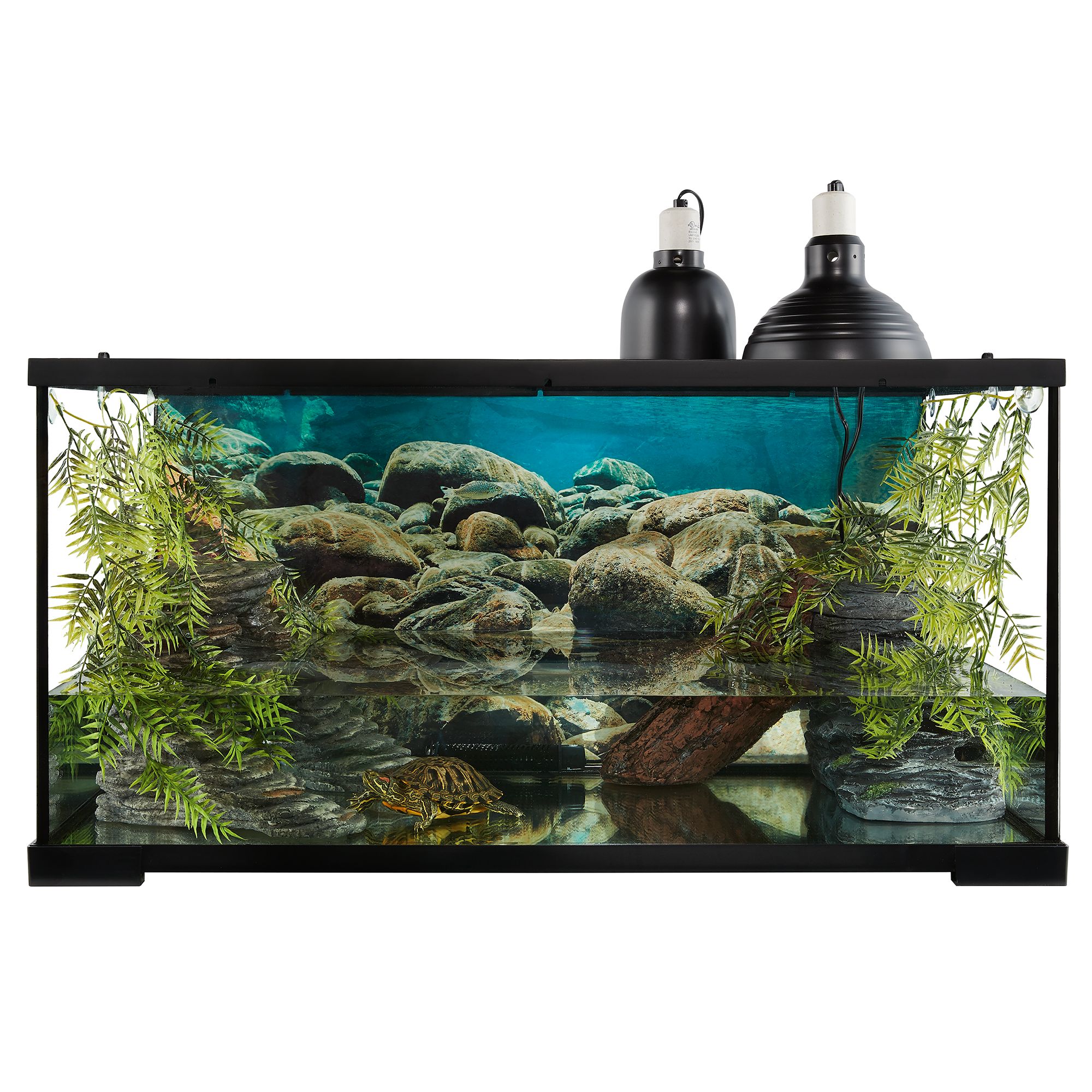 Thrive® Semi-Aquatic Essentials Kit - 40 Gallon