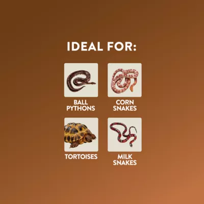 Product Thrive ™ Temperate Essentials Kit - 40G