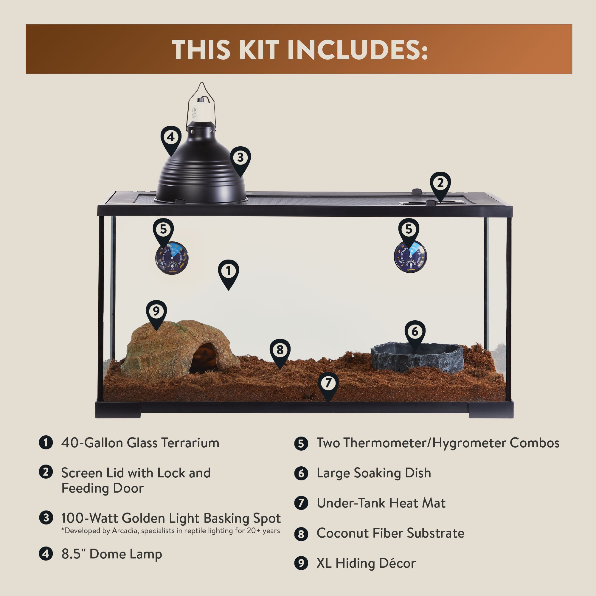 Thrive Temperate Essentials Kit -Temperate Reptile Terrarium Kit - 40 Gallon Terrarium - 36x18x18 - thumbnail 3