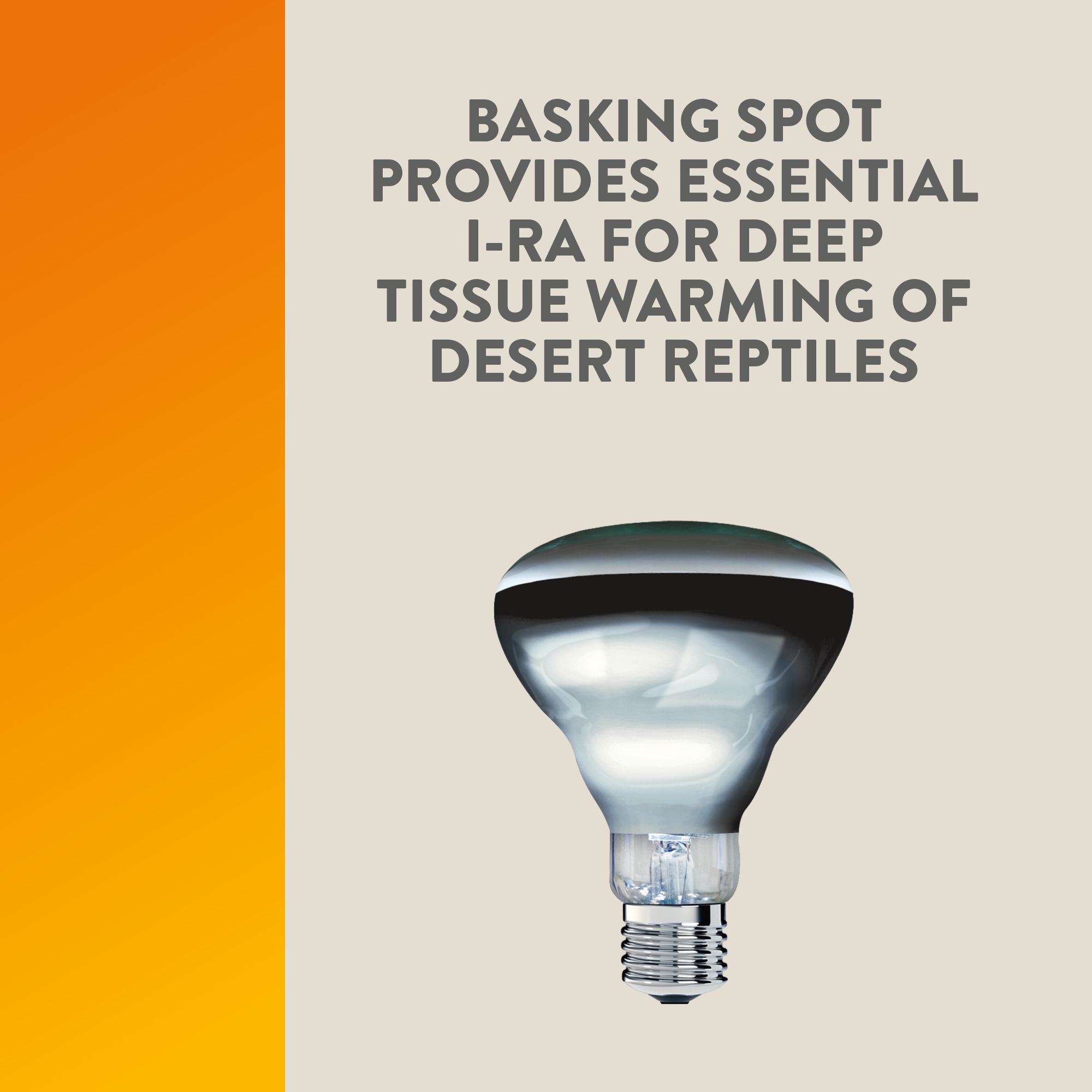 Thrive® Desert Basking Set - Reptile Basking Lamp Kit - 5.5 in - thumbnail 5