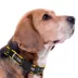 Pets First Missouri Satin Collar image thumbnail 3