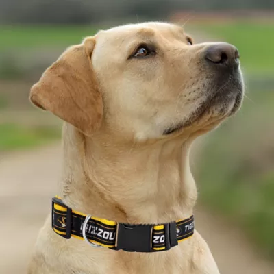 Pets First Missouri Satin Collar - Image 4