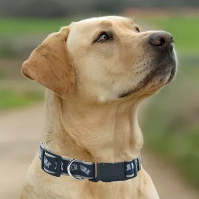 Pets First MLB New York Yankees Satin Dog Collar - Image 4