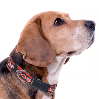  Pets First Denver Broncos Satin Dog Collar - Image 3