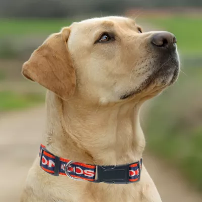  Pets First Denver Broncos Satin Dog Collar - Image 4