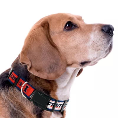 Pets First Illinois Satin Collar - Image 2