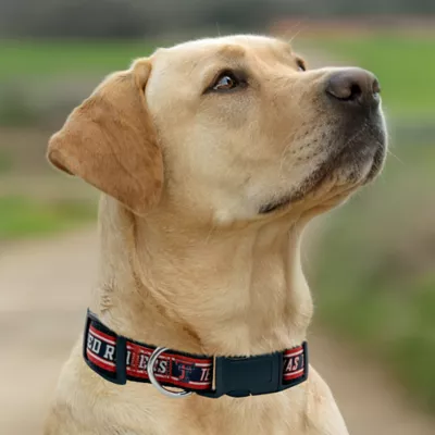 Pets First NCAA Texas Tech Satin Dog Collar - Image 3