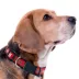 Pets First Nebraska Satin Collar image thumbnail 2
