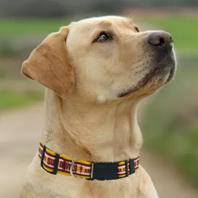 Pets First NCAA Arizona State Satin Dog Collar - Image 3
