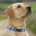 Pets First Tennessee Titans Satin Collar image thumbnail 4