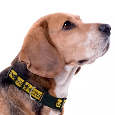 Pets First Iowa Satin Collar - Image 3