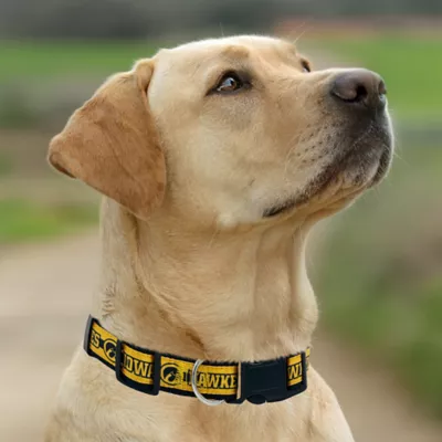 Pets First Iowa Satin Collar - Image 4