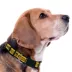 Pets First Iowa Satin Collar image thumbnail 3
